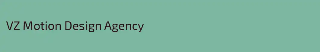 VZ Motion Design Agency